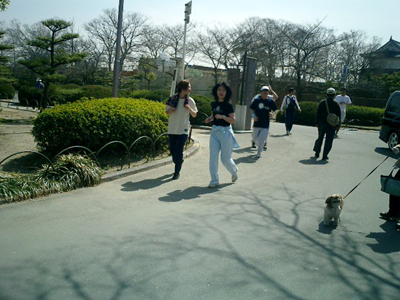 CIMG0031