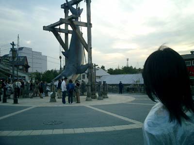 CIMG0108
