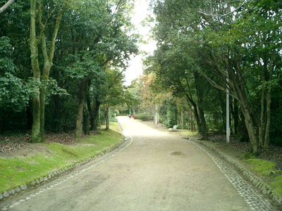 05